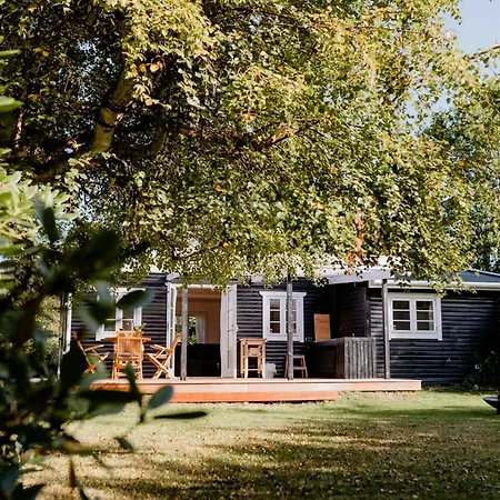Life In Intimate Wooden *